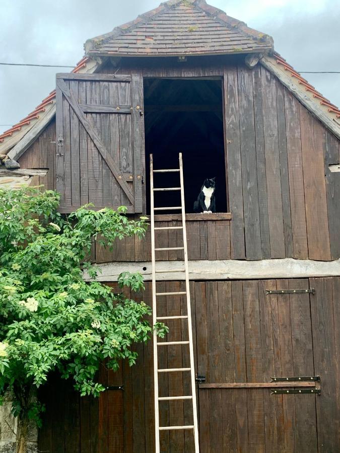 Chambres D'Hotes Pech Blanc Calvignac ภายนอก รูปภาพ