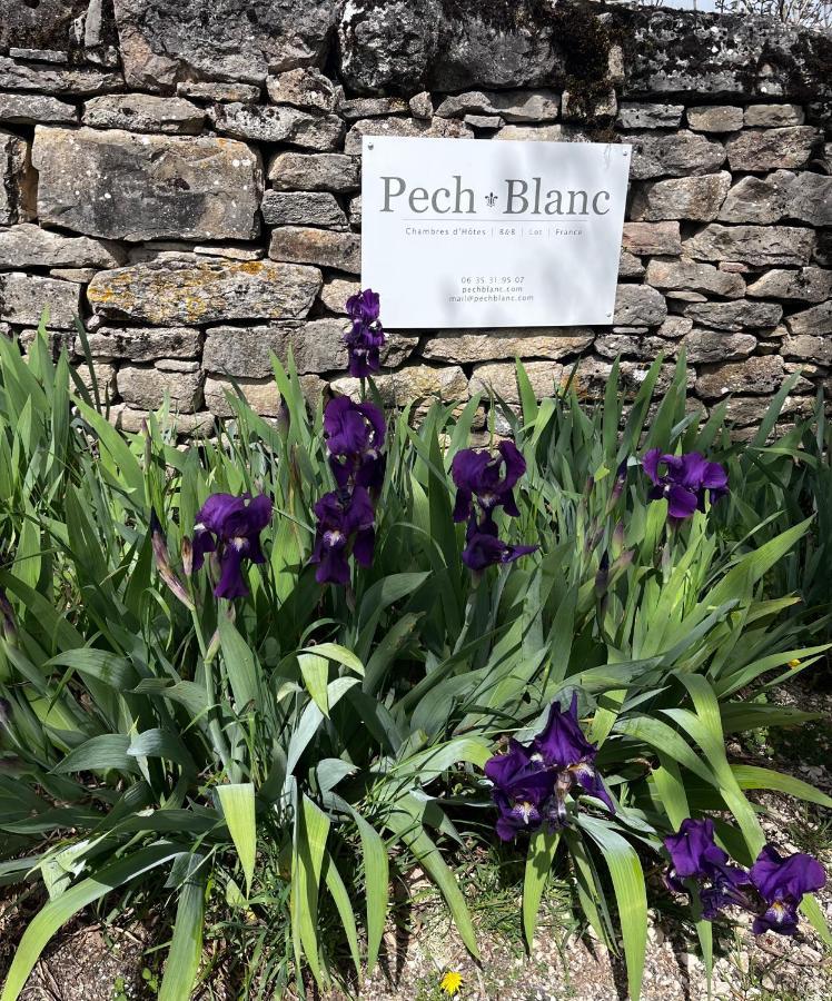Chambres D'Hotes Pech Blanc Calvignac ภายนอก รูปภาพ
